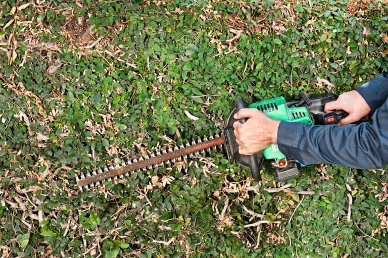 how to sharpen a hedge trimmer Hedge trimmers sharpen