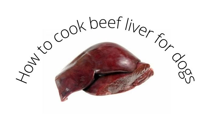 how to cook beef liver for dogs How much beef liver should i feed my dog?