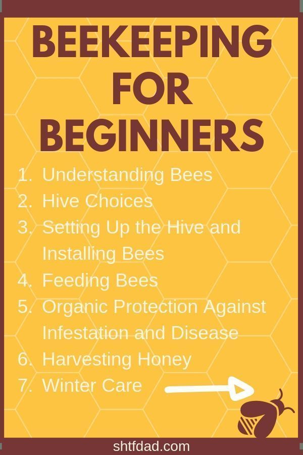 how to start beekeeping How to start beekeeping » heritage acres market llc