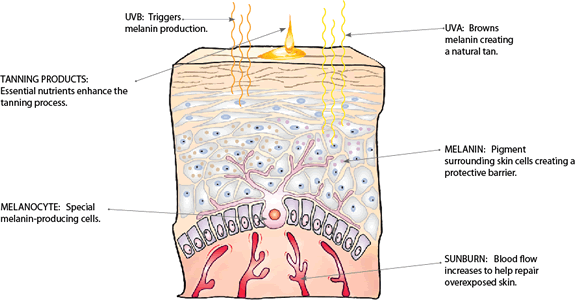 how long does it take for a tan to fade Here's how to get rid of a tan and fade tan away