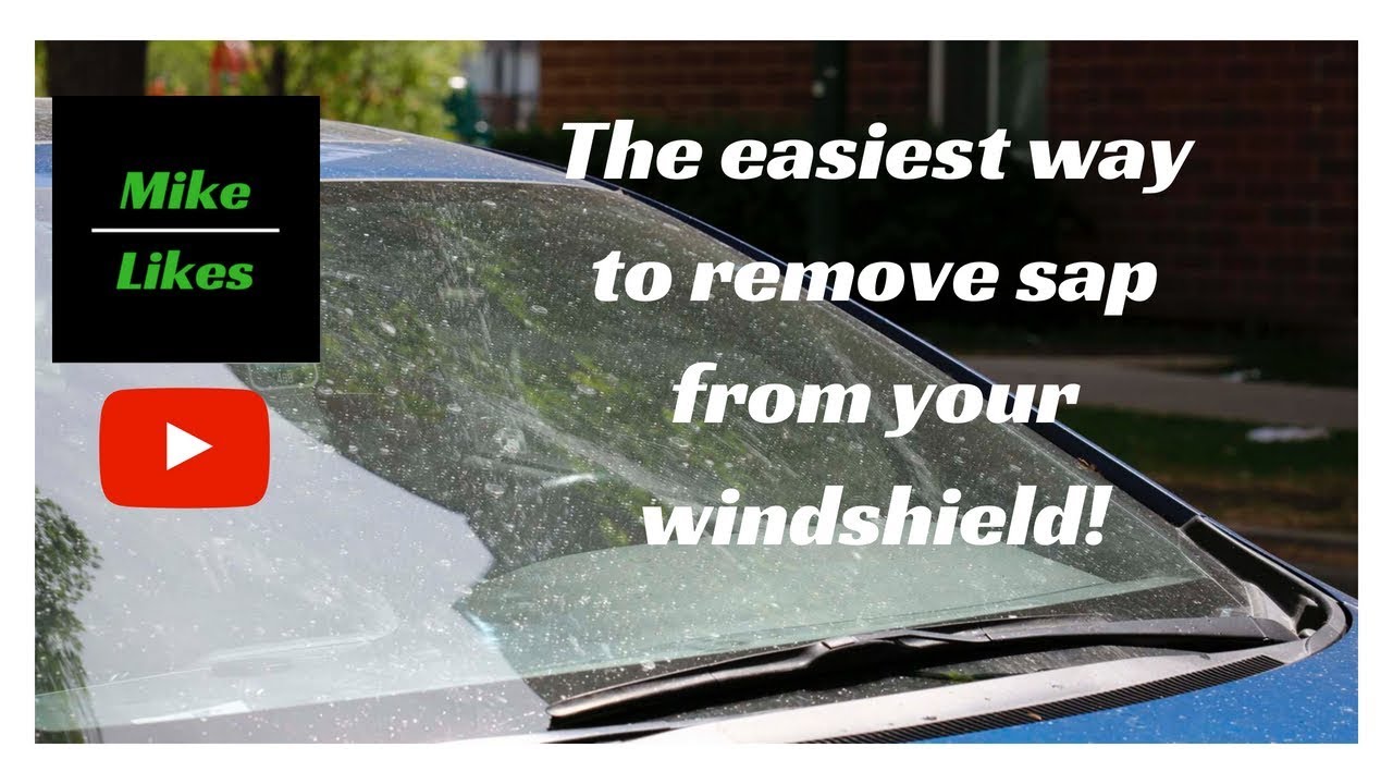 how to get sap off windshield How to get sap off windshield in 3 simple steps