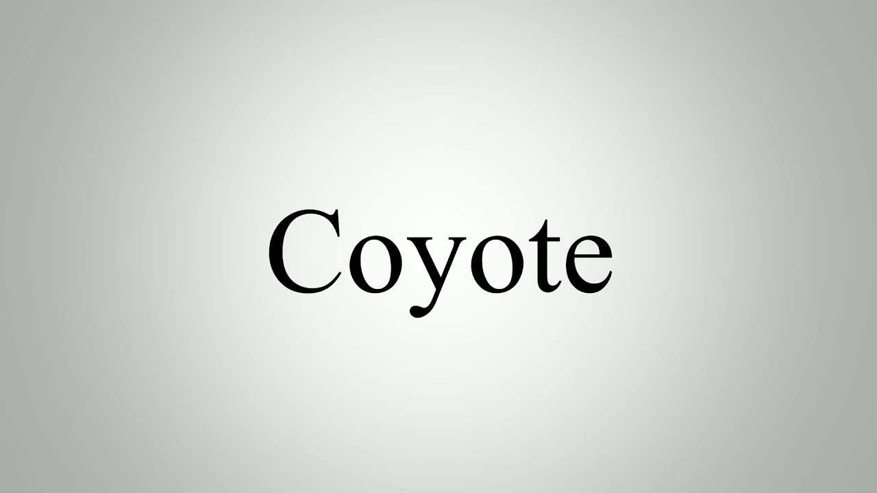 how to pronounce coyote Chris on twitter: "how do you pronounce “coyote?”"