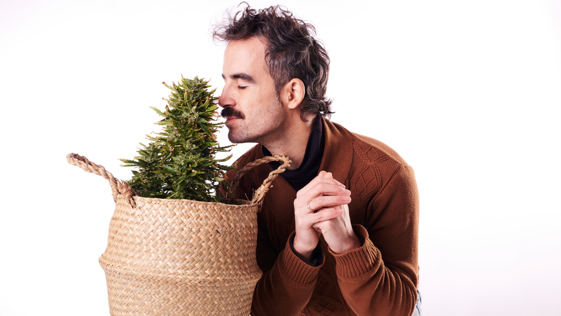 how to eliminate weed smell Smell marijuana