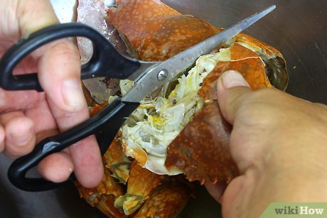 how to clean crab How to clean crab?