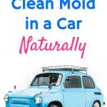 how to clean mold out of car Complete mold removal from car interior